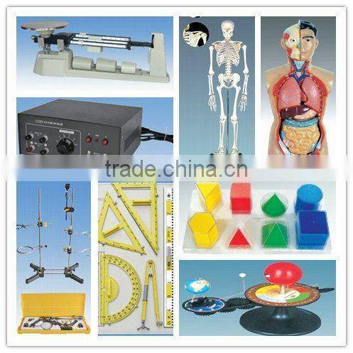 DNA Model Protein structure Model Educational equipment