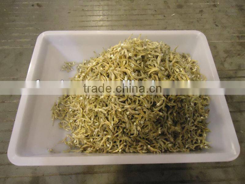 Dried Anchovy Fish in zhoushan china