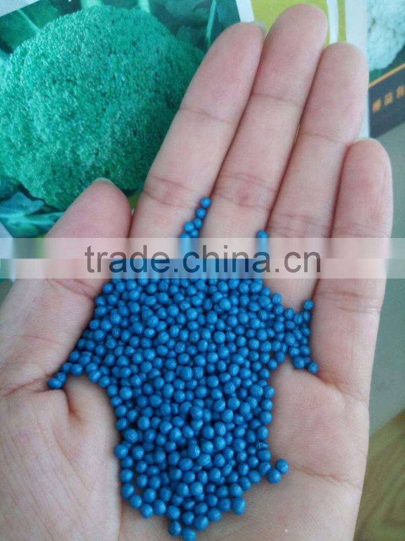 Sygenta broccoli seeds