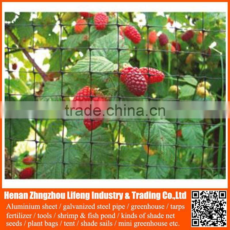 Garden Bird Trap Netting , Anti Bird Net for Agriculture