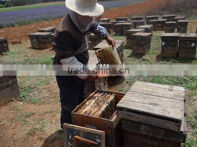 2013 best sale 24 frames stainless steel honey extractor