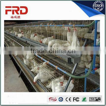 2017 Chicken Farm Automatic Chicken Layer Cage with Promotional Price