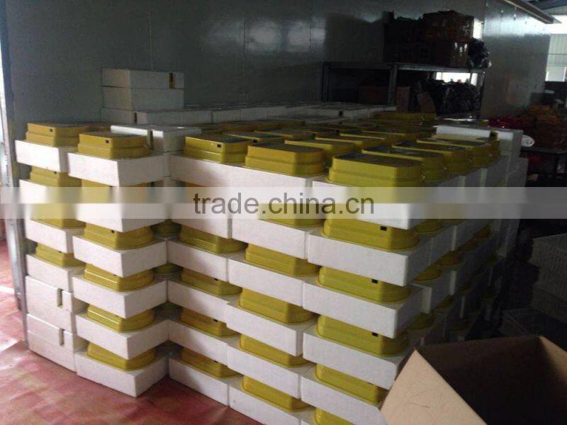 WQ-12 Capacity 12 eggs incubator and hatcher from china
