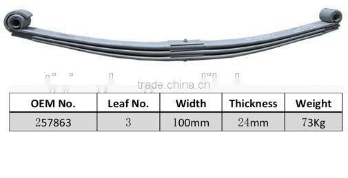 257863 double eye leaf spring