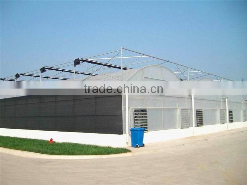 Ecnomic multi span greenhouse with UV film covering