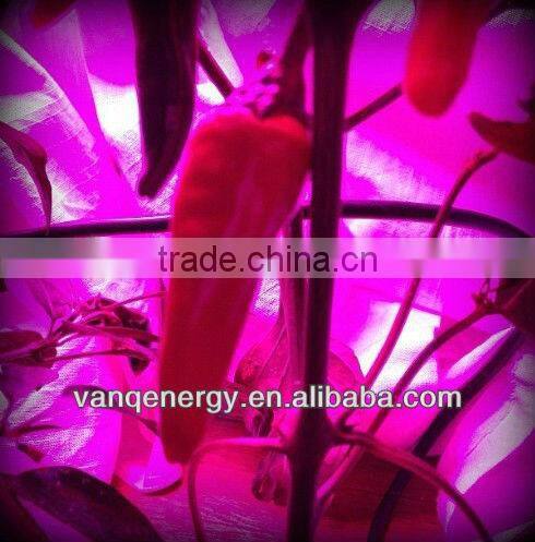 High power led grow light,canabis growth plant light ,300W grow light