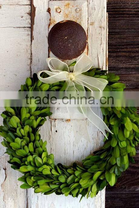 8'' preserved boxwood wreath wholesale