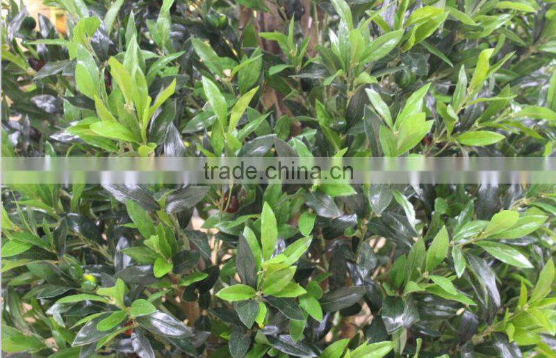 wholesale artificial olive tree , green bonsai olive tree