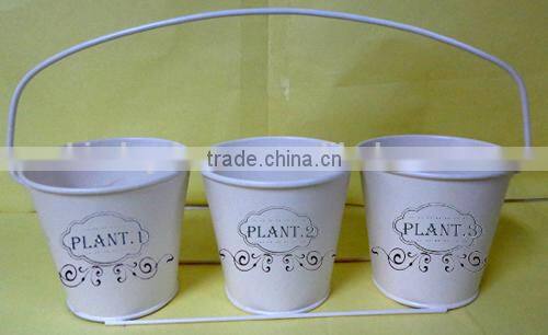 indoor nursery flower pot growing plant flat tray