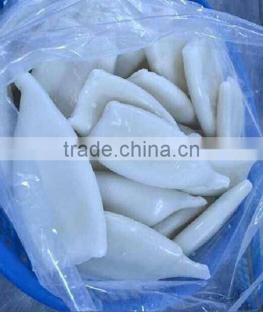 Frozen Squid Tube U5