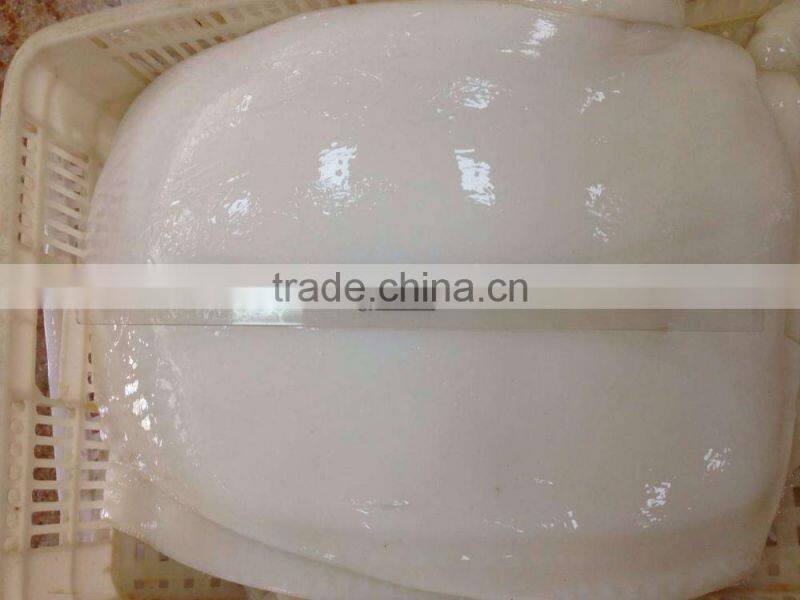 frozen giant squid withe fillet