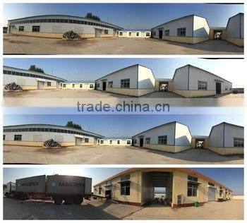 FRUIT FLAVOURED INSTANT POWDER DRINK China supplier