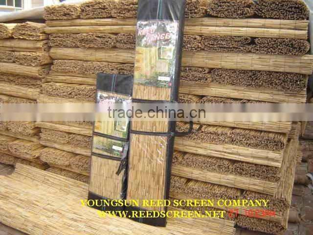 reed screen