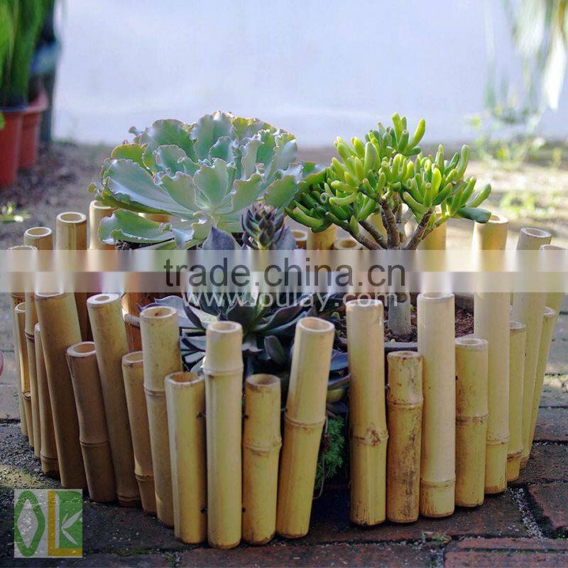 Small bamboo garden fence,bamboo pole wholesale