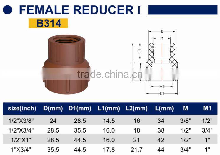 TY High quality PP threaded pipes&fittings FEMALE REDUCER A eco-friendly Cheap Price Full Size factory price list discount