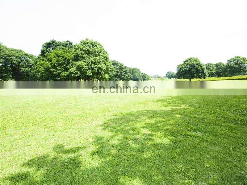 Factory Price Gasoline Cow Feed Grass Cutter Machine