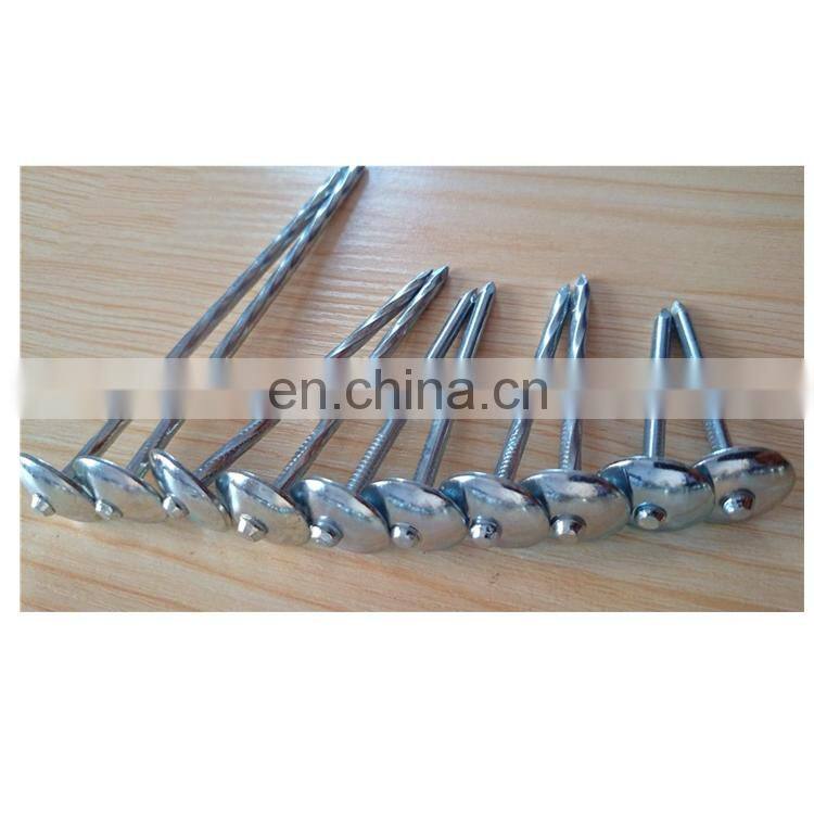 umbrella head galvanized roofing nails