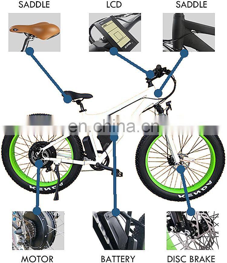 Customizable Electric Long Range Maximum 100KM Mountain Bike with LCD Display 100-240V Smart E-bicycle BEBFR26DM