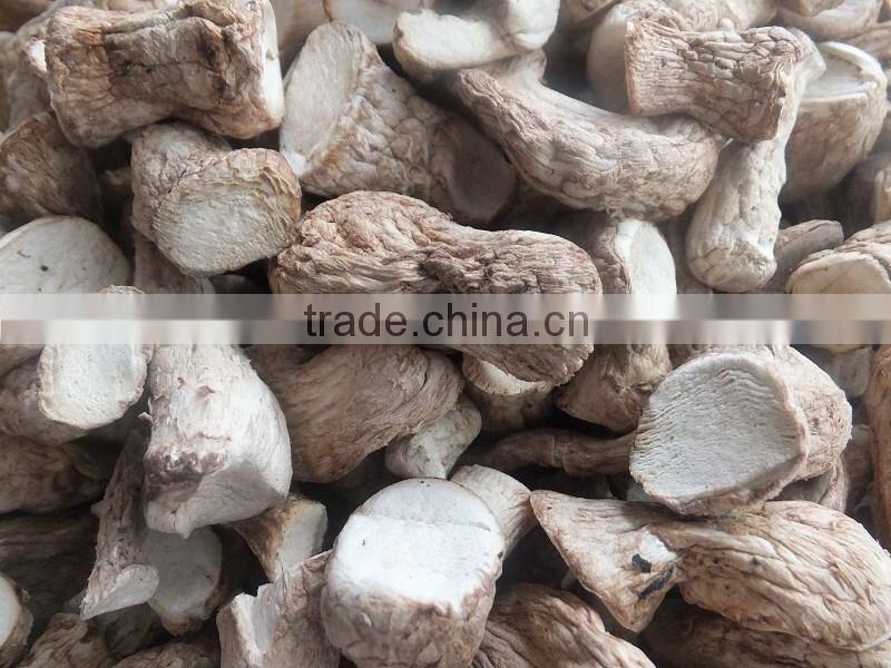 Dried Mushroom Leg , Mushroom Stem