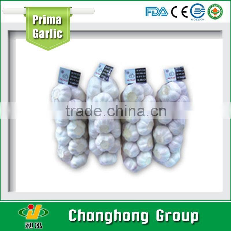 hot sale mesh bag packing 5.0cm garlic