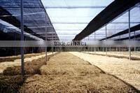 Vietnam High Quality Garden shade net