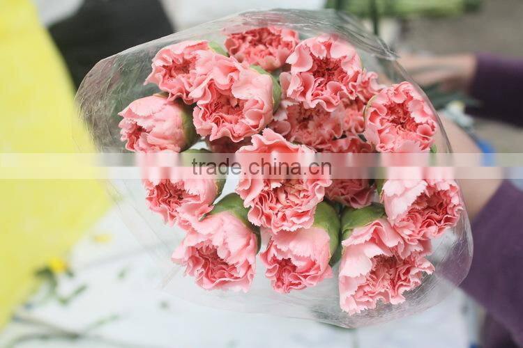 Elegant in smell new coming carnation flower small carnation flowers