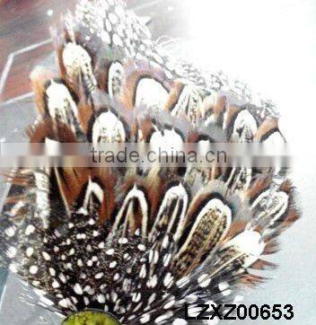 ringneck church window pad LZXZ00584