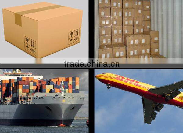 China Hot Sale dirt bike headlight pit bike kawasaki klx 150