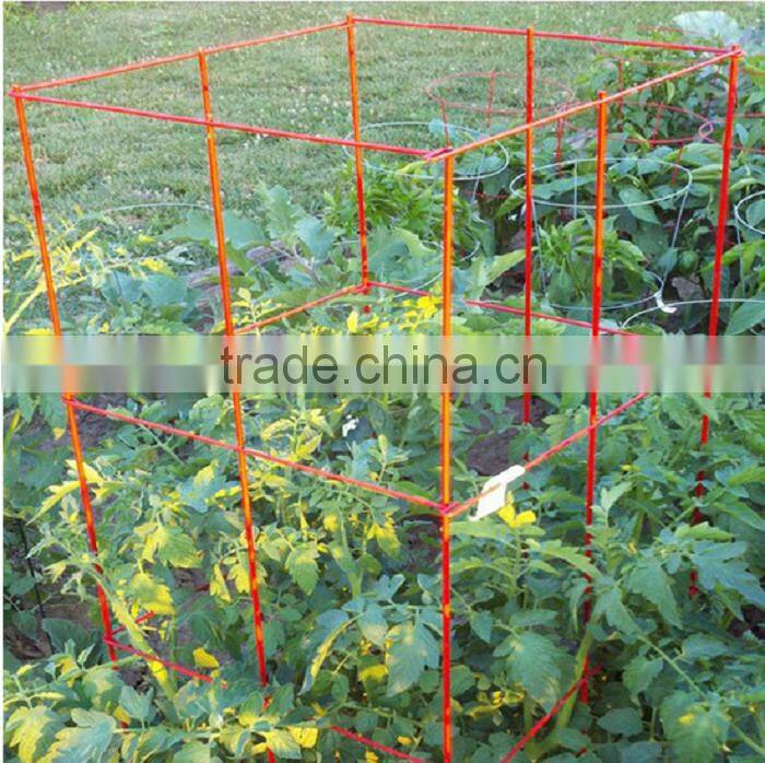 china FY brand produce circle tomato cages plant support for export