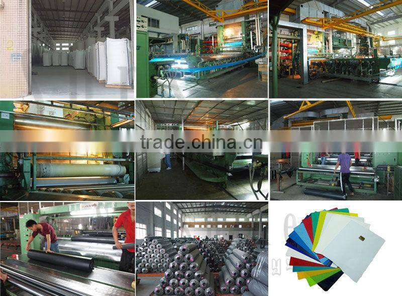 8mW Giant inflatable transparent Spider tents for sale