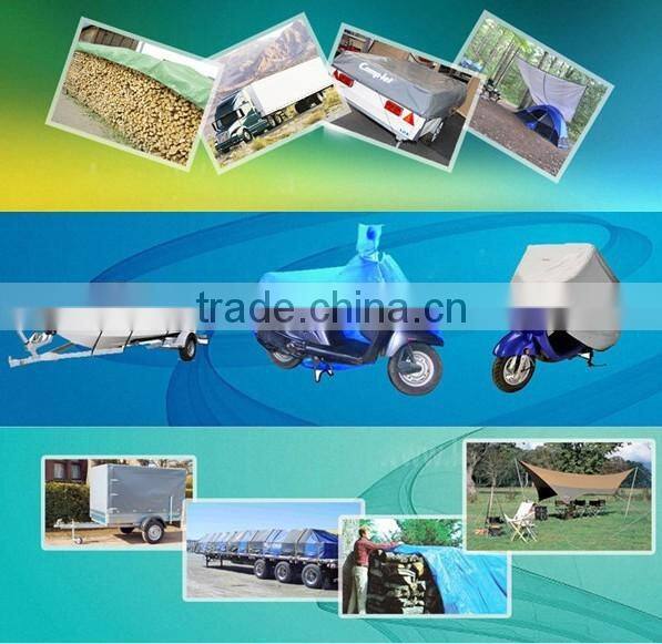 swiming pool cover tarpaulin PP sliver/blue triangle plastic plastic sheet rope eyelet all size all purpose manufacture diectly