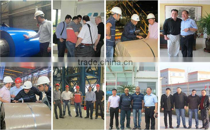 alibaba china 0.12mm-2.0mm prepaint galvanized steel coil