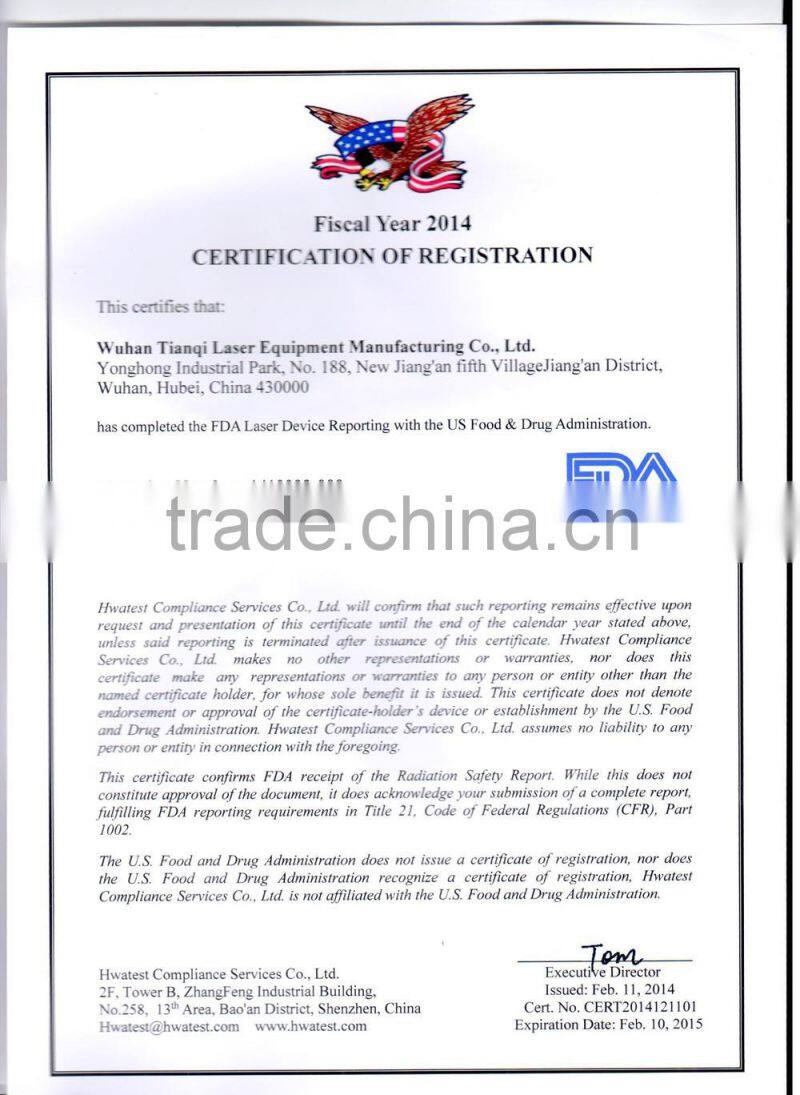 Spring Festival Sale promotion Metal Laser Cutting Machine