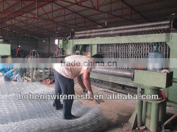 PVC HEXAGONAL WIRE MESH NETTING