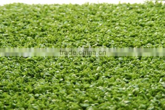 Grass for Tennis Court and Racetrack