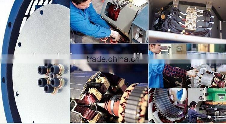 Longkai Three Phase Brushless Alternators 24KW