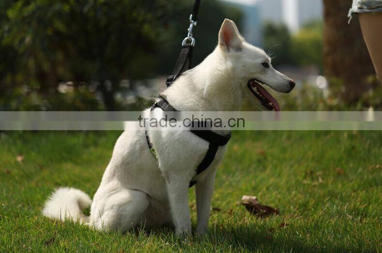 Customized Nylon material Dog Strap