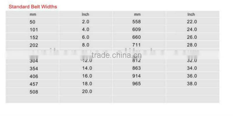 biscuit POM modular belt