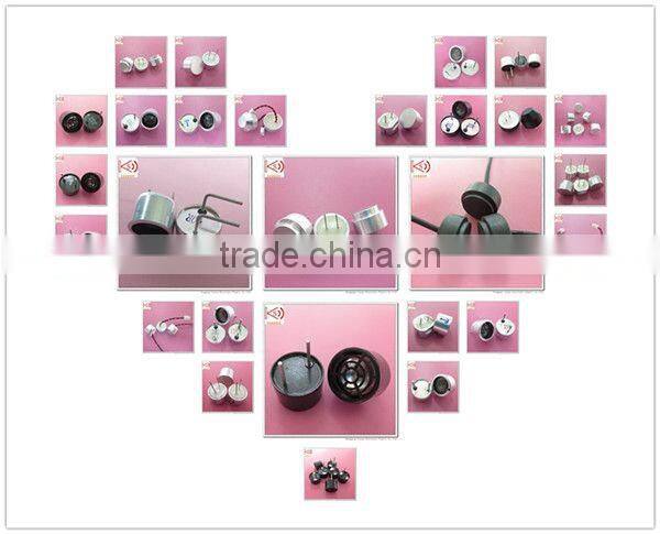 ultrasonic transducer for air vehicle