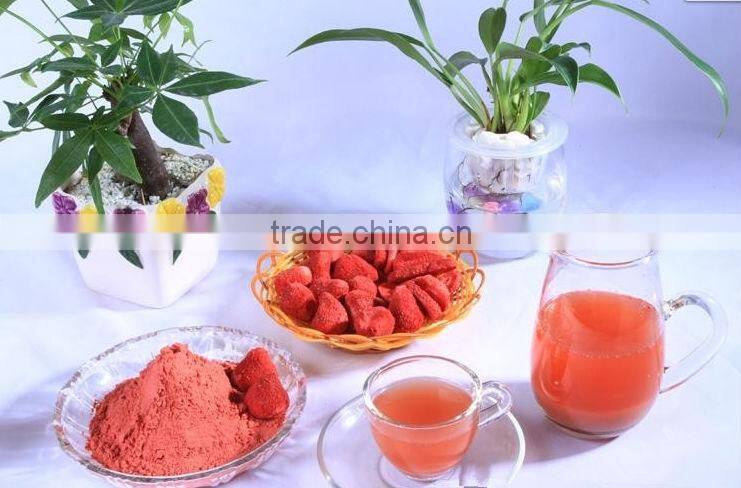 concentrate fruit juice powder