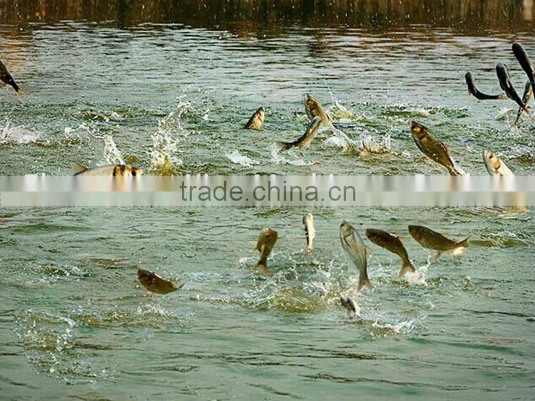 Electric fish feeder, fish farm feeder, fish feed throwing machine