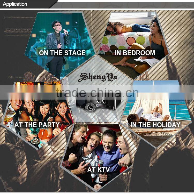 Latest Women Accessories 2.1 Speaker