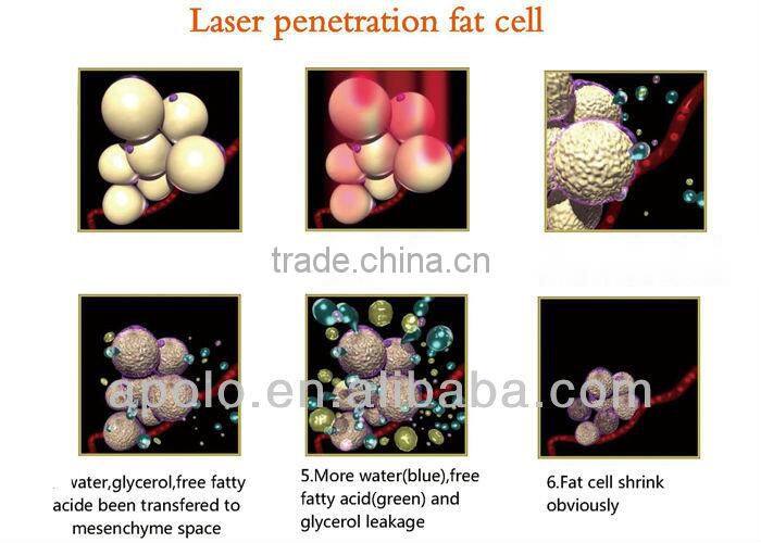 New portable Apolomed HS-700 Cavi lipo laser machine