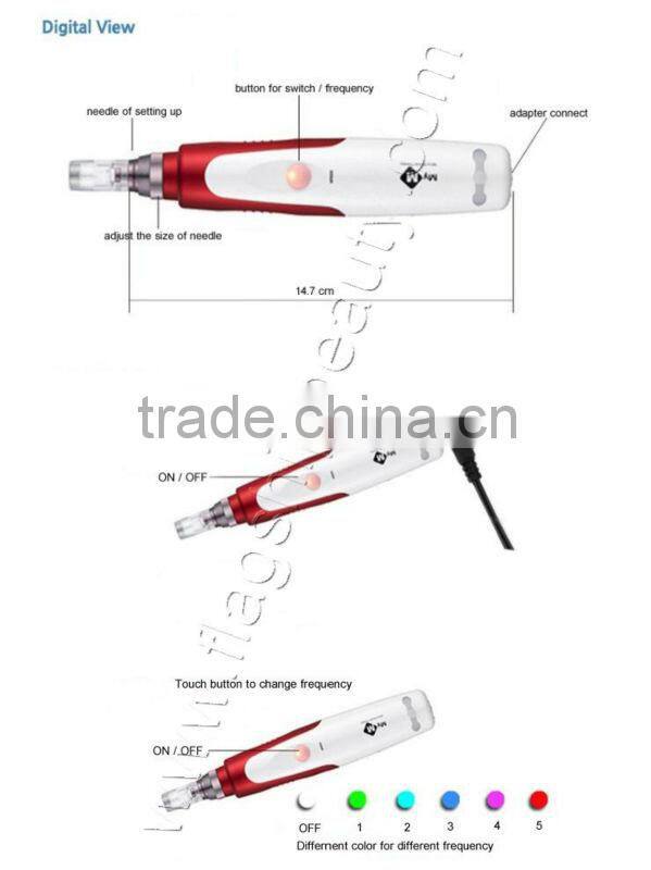 microneedle micro needle roller derma pen with 2 changeable heads