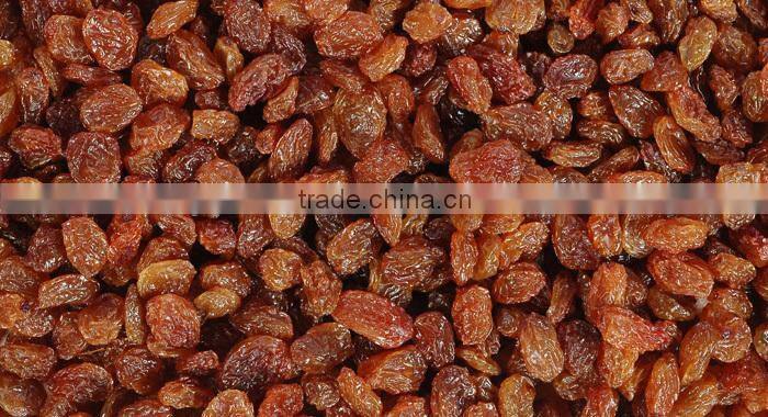 BEST RATE QUALITY INDUSTRIAL RAISIN FOR BEST RATE