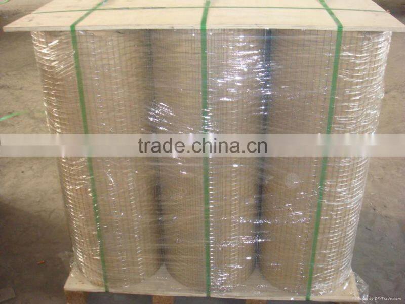 Direct Manufacturer Green PVC Coated Welded Wire Mesh Roll