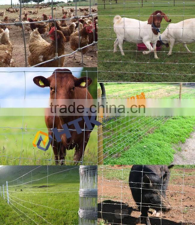 Direct Factory Hot Sale Galvanized Prairie Farm Guard Field Fence