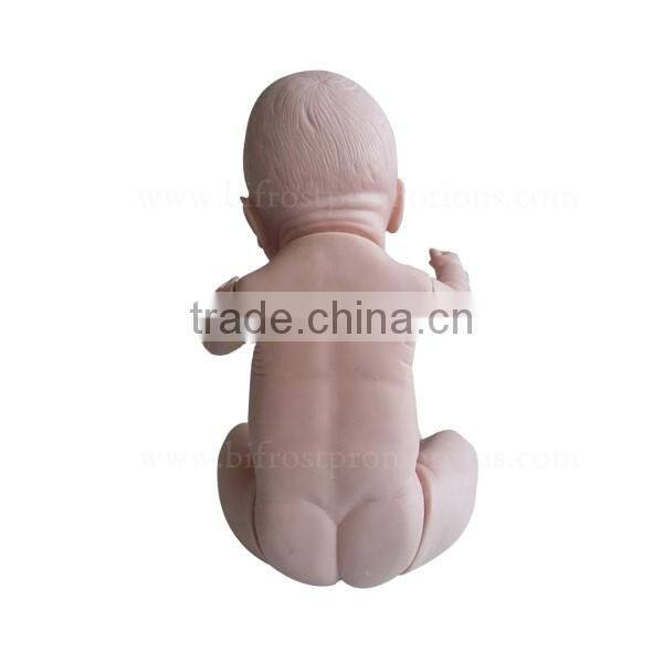 Human Body Biological Baby Model Teaching Baby Doll