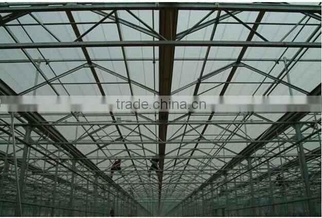 Venlo agricultural greenhouse