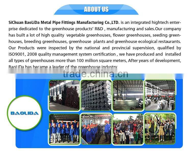 Factory Price Agriculture Used Greenhouse For Sale